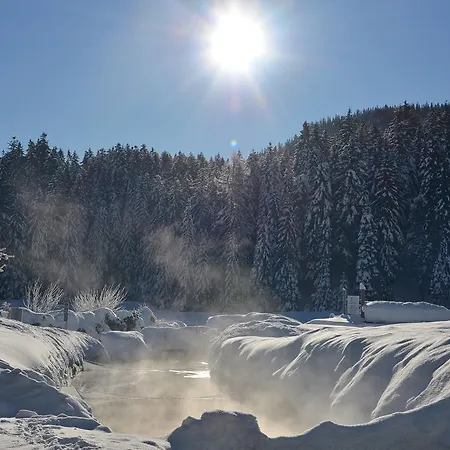 Haus Bergkristall Daire *