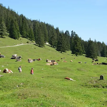 Haus Bergkristall * Leutasch