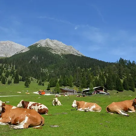 Haus Bergkristall Leutasch