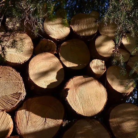 Daire Haus Bergkristall *