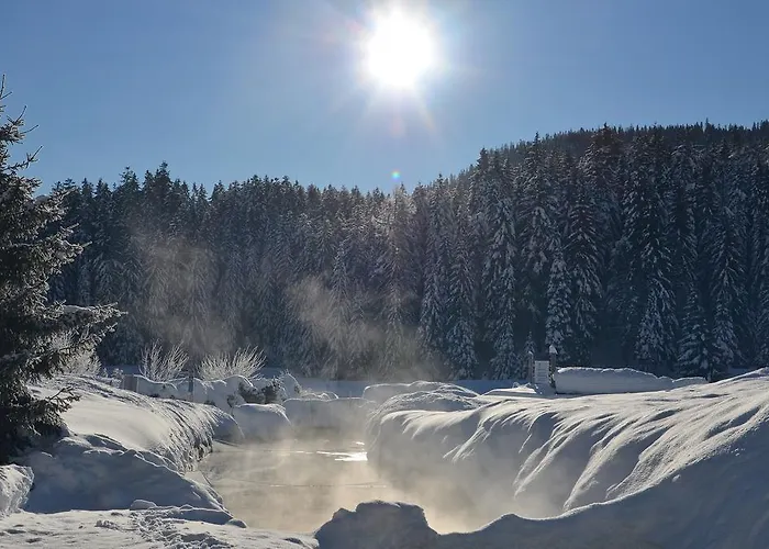 Haus Bergkristall דירה *