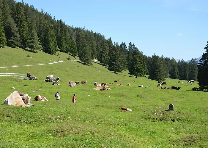 Haus Bergkristall * ליוטאש