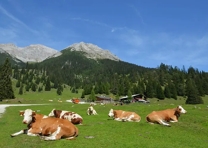 Haus Bergkristall ליוטאש