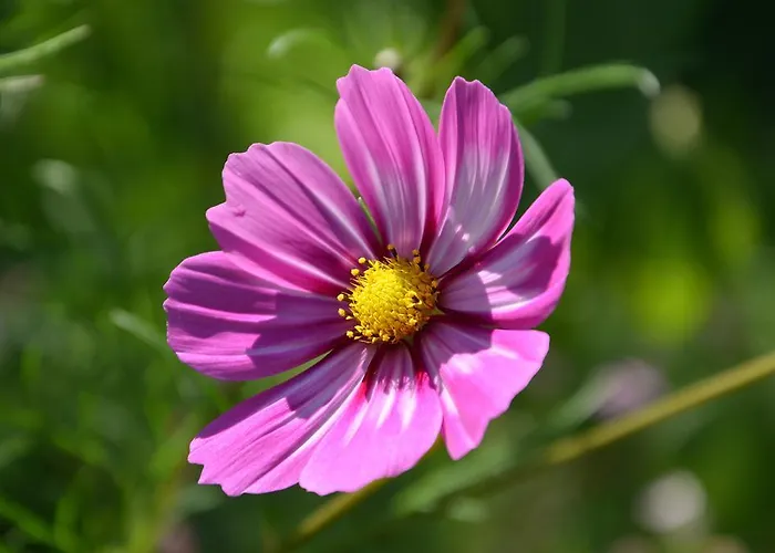 דירה Haus Bergkristall ליוטאש