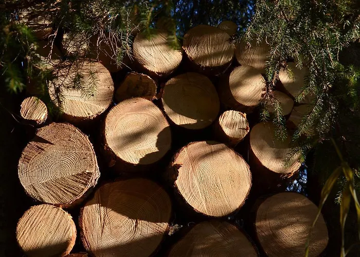 דירה Haus Bergkristall *